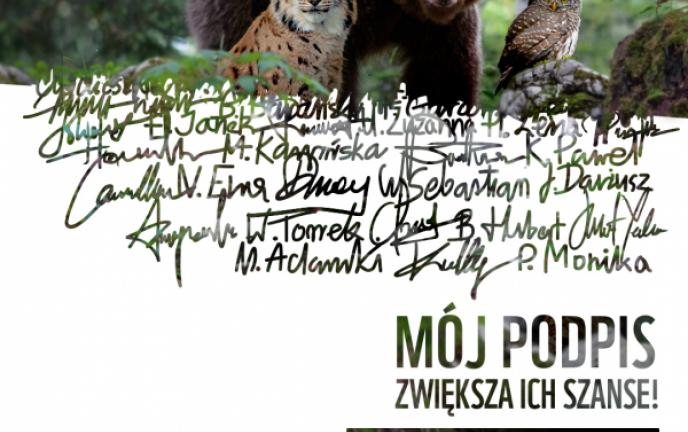 Plakat akcji WWF